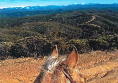 Greeley Hill Ride A Thon