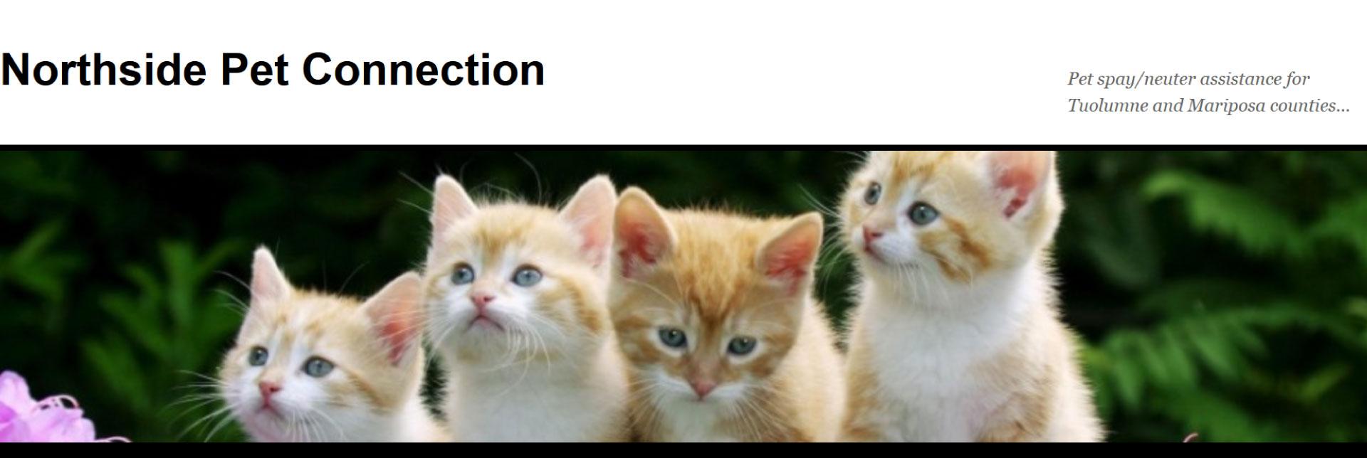 Northside Pet Connection